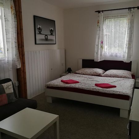 Penzion Tomy Na Plazi Hotel Frymburk Luaran gambar