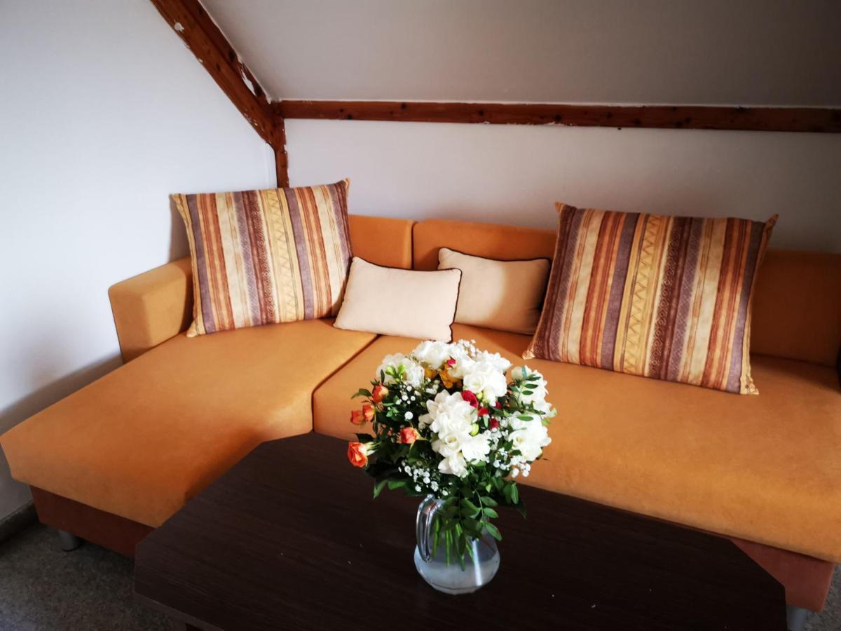 Penzion Tomy Na Plazi Hotel Frymburk Luaran gambar